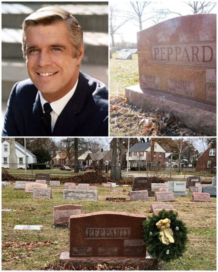 146 best images about Peppard (19281994) on Pinterest Linda