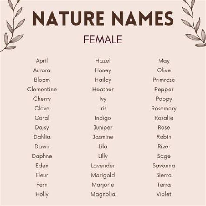A Comprehensive Guide To Their Names