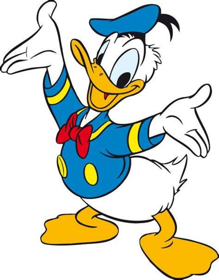 Donald Duck PNG