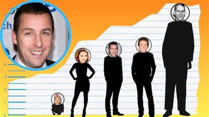 How tall is Adam Sandler? 'Big Daddy's teen daughter Sunny is almost as