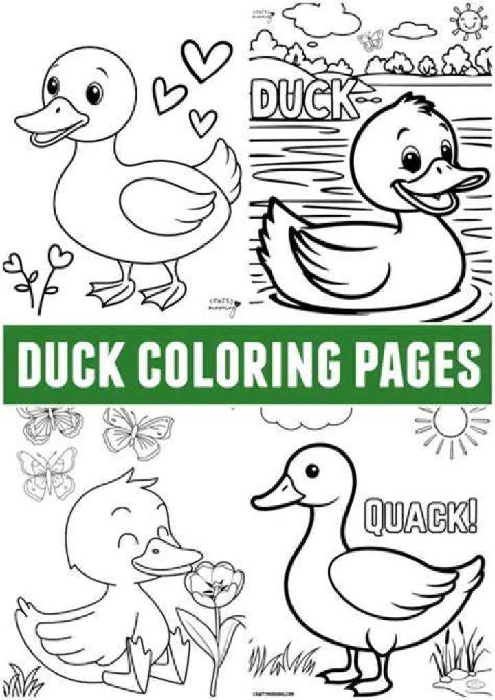 Unveiling The Hairless Wondrous Duck